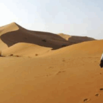 Incontriamo il Silenzio…Progetto Quaresima 2026